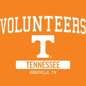 University Of Tennessee-Knoxville Volunteers Google Pixel 6 Pro Clear Case